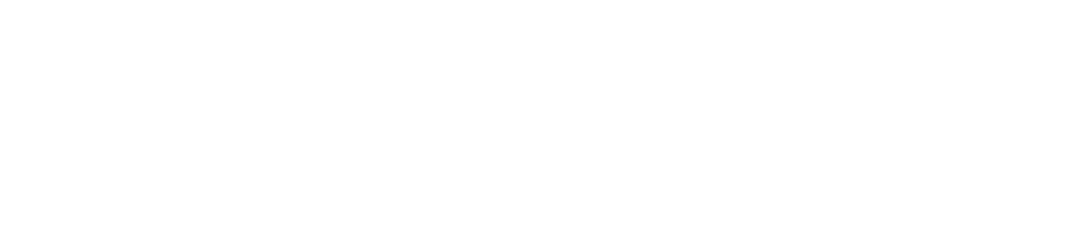 script - Website name header